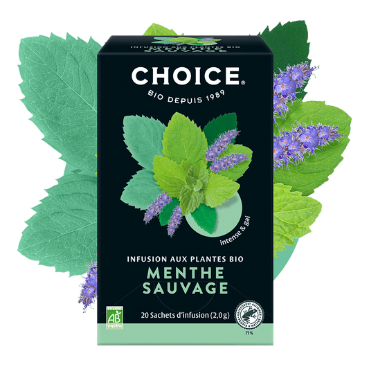 CHOICE -- Menthe Sauvage - 20 sachets - 40 g